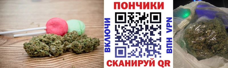 Canna-Cookies марихуана  Купить где  Конаково 