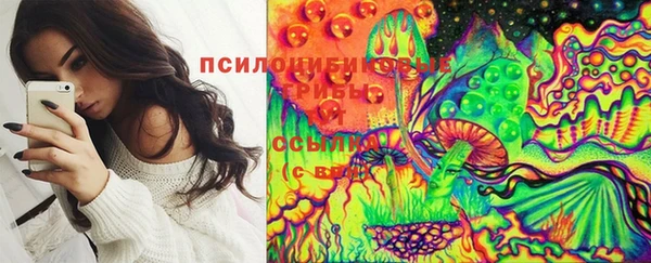 соль ск Касимов