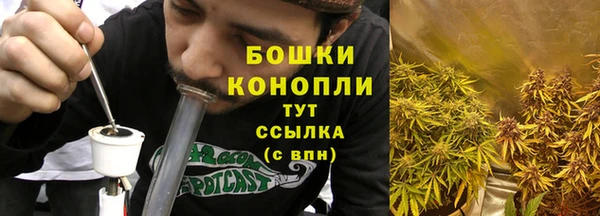 соль ск Касимов