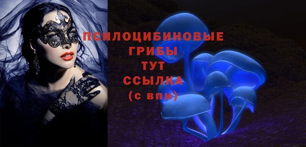 Альфа ПВП Карталы