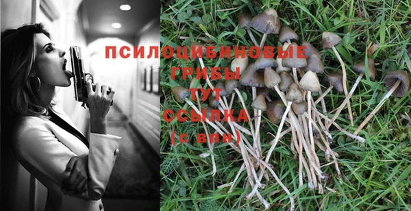 Альфа ПВП Карталы