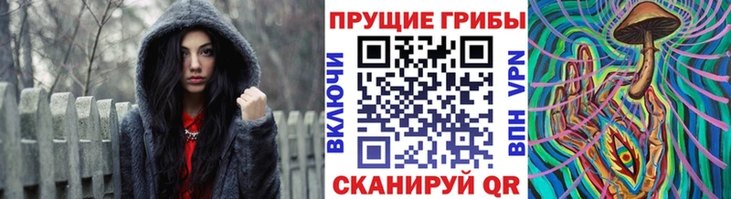 Псилоцибиновые грибы Cubensis  Купить закладки  Конаково 
